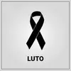 Leandro Brum - @leandro.brum4 - TikTok