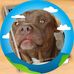 Leandro Bruno - Facebook