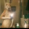 Leandro Bruno - @ismael.2912 - TikTok