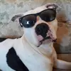 Leandro Cabral - @leandro.cabral8 - TikTok