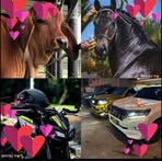 Leandro Calderon - Facebook