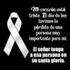 Elias Leandro Chamorro - @elias.leandro.cha - TikTok