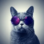 Lendro Henriques - @leandrochapa_ - Instagram