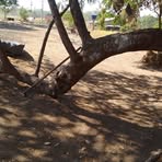 Leandro Cortes - Facebook