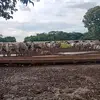 Leandro Marques - @leandro.marques351 - TikTok