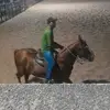 Leandro Menezes - @leandro.menezes272 - TikTok