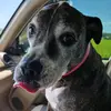 leanneanthony639 - @leanneanthony639 - TikTok