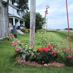 Leann Baker - Facebook