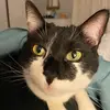 leann.bauer - @leann.b - TikTok