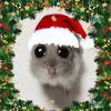 LEANNEwithafata$$ - @leannebooth190 - TikTok