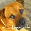 Leanne Bunch - @leannebunch - TikTok