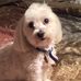 Leann Burton - Facebook