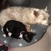 Leann Cartwright - Facebook
