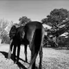 leanncrb4xw - @leanna.castillo - TikTok