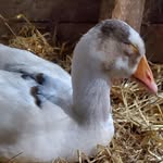 Leanne Conley - @leanne.r.conley - Instagram