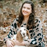 Leann Cross - @leanncross1 - Instagram