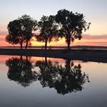 LeAnn Wind Daniels - @leanndaniels - Instagram