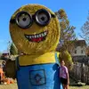 Leann Dillard - @leann.dillard - TikTok