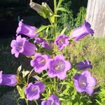 Le'Ann Engle - @leannengle8 - Instagram