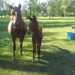 Leann Estes - Facebook