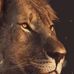 LeAnn Garrett - Facebook