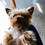 Tiffany Leann George - @tiffany_21_21 - Instagram