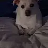 Leeann Goertz - @leeann.goertz - TikTok