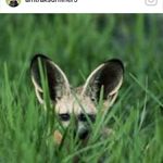Le Ann Grace - @leanngrace21 - Instagram