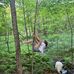 LeAnn Graff - Facebook