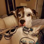 LeAnn Gray - @llblulu - Instagram