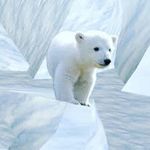 LeAnnGray - @leanngray07 - Instagram