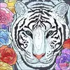 leann - @leannhall68 - TikTok