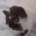 Leann Harding - Facebook