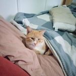 Leanne Ward - @leanne.harding.52 - Instagram