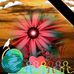 Leann Harrell - Facebook