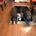 LeAnn Flynn - Facebook