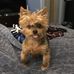 Leann Hebert - Facebook