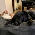 Leanne K - @leanne.heller - Instagram