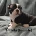 LeAnn Hess - Facebook