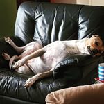 Leanne Hinkley - @leanne_hinkley - Instagram