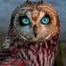 LeAnn Holcomb - Facebook