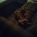 LeAnn Hooper - Facebook