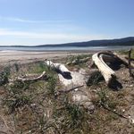 LeAnn Howe - @albihowe - Instagram