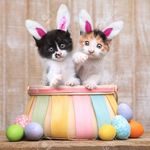 Octavia Leah Huff - @leanne.huff.505 - Instagram