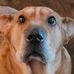 LeAnn Jacobs - Facebook