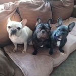 Leann Jacobs - @leann.jacobs.9 - Instagram