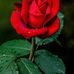 Leann Jacobs - Facebook