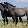 Leanne King - @leanne.king32 - TikTok