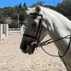 leannkirkendall - @mrs.kirks0213 - TikTok