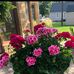 Leann Knapper - Facebook
